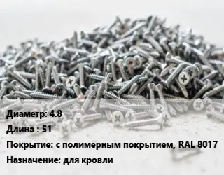 Шуруп 4.8х51 с полимерным покрытием, RAL 8017 для кровли